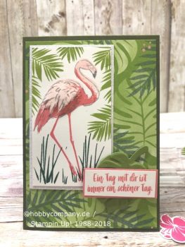 Flamingo und Tropenflair