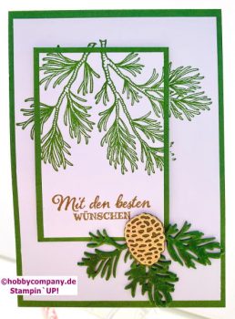 Weihnachtskarte Double Layer Technik mit Stempelset Friedvolle Zweige