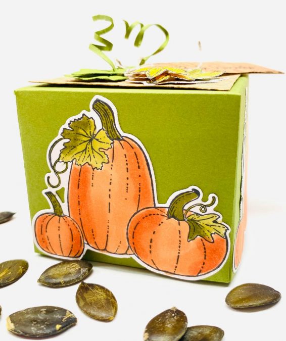 Basteltipp herbstliche Box Pretty Pumpkin