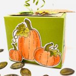 Basteltipp Herbstliche Box Pretty Pumpkins