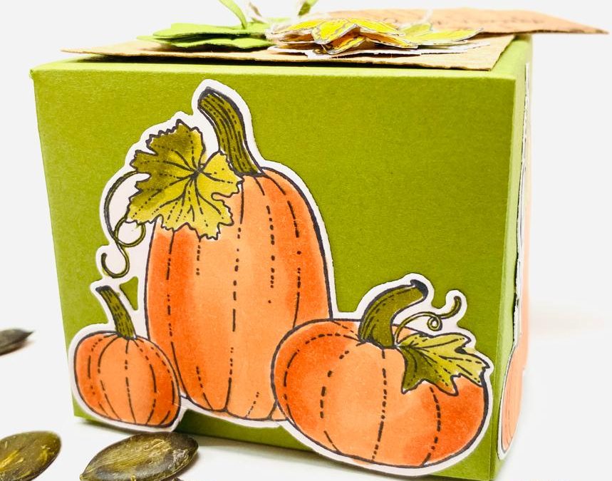 Basteltipp Herbstliche Box Pretty Pumpkins