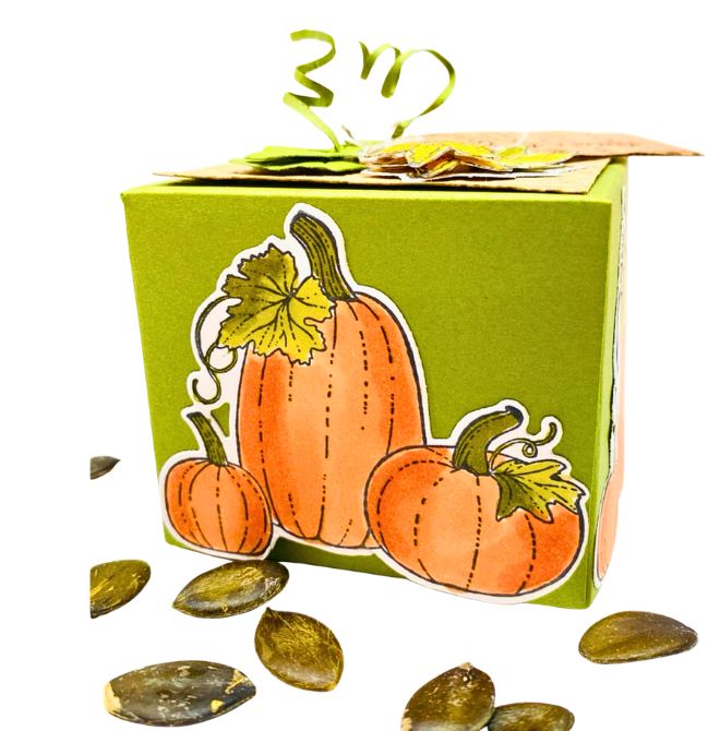 Basteltipp herbstliche Box mit Kürbis