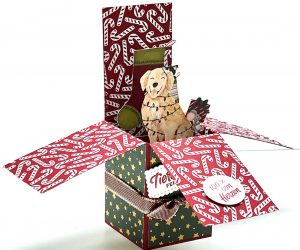 Box Card für Weihnachten