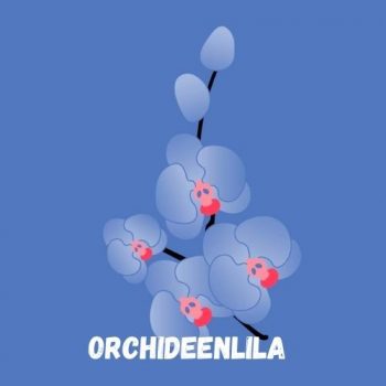 In Color Orchideenlila