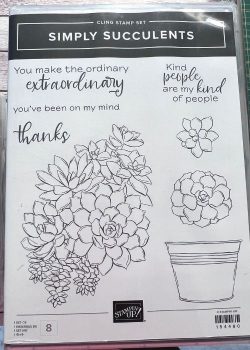Stampin up Produktpaket Simply Succulents