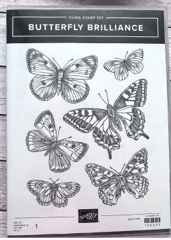 Stampin up Produktpaket Butterfly Brilliance