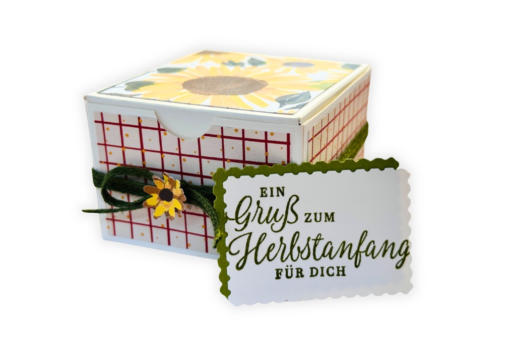 Geschenkbox nach Maß basteln für Tee und Schokolade